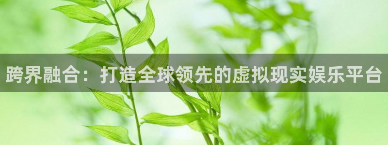 摩臣v链接